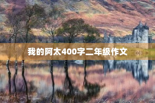 我的阿太400字二年级作文