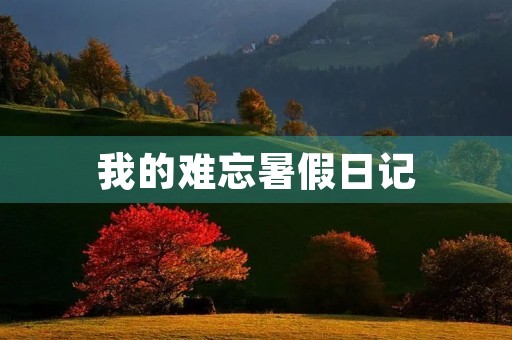 我的难忘暑假日记