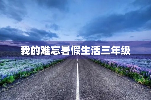 我的难忘暑假生活三年级