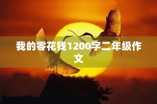 我的零花钱1200字二年级作文