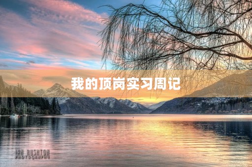 我的顶岗实习周记