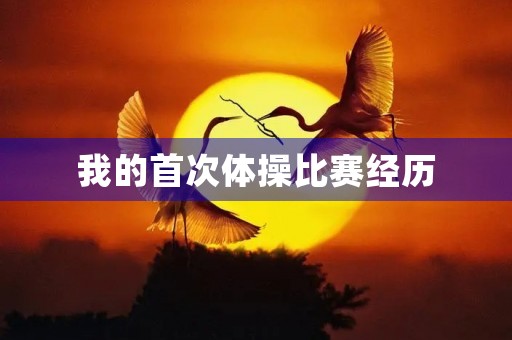 我的首次体操比赛经历 我的首次体操比赛经历
