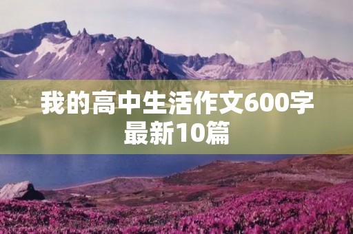 我的高中生活作文600字最新10篇