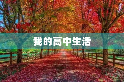 我的高中生活