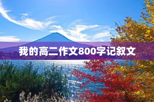 我的高二作文800字记叙文 我的高二作文800字记叙文