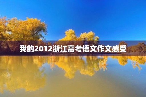 我的2012浙江高考语文作文感受