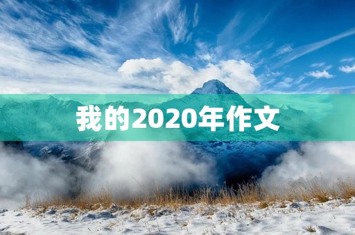 我的2020年作文
