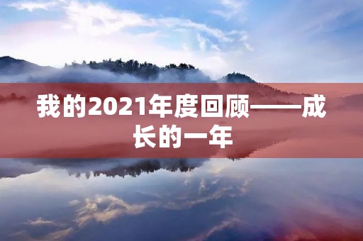 我的2021年度回顾——成长的一年