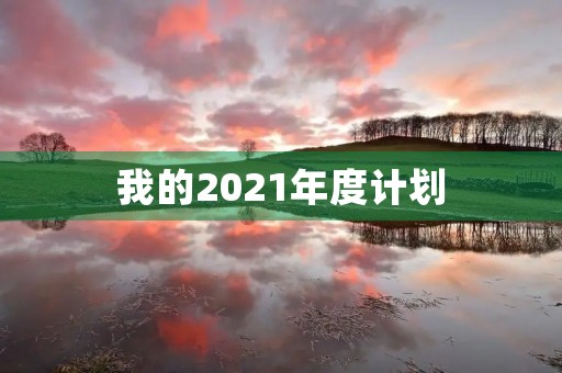 我的2021年度计划 我的2021年度计划