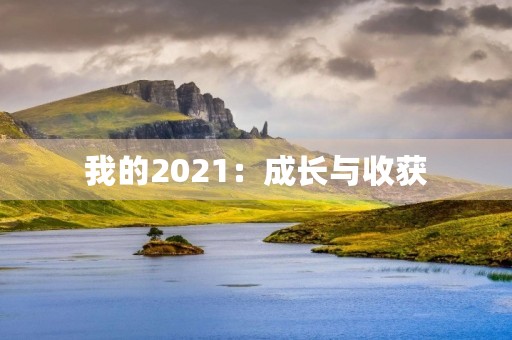 我的2021:成长与收获 我的2021:成长与收获