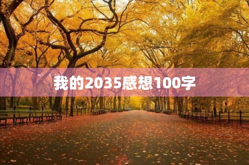 我的2035感想100字