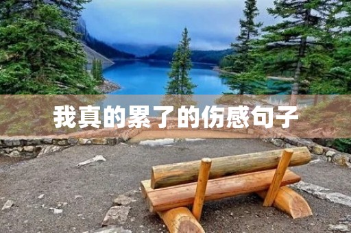 我真的累了的伤感句子,我真的累了的伤感句子图片 我真的累了的伤感句子,我真的累了的伤感句子图片