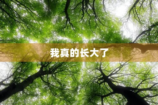 我真的长大了 我真的长大了