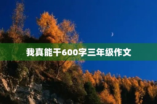 我真能干600字三年级作文 我真能干600字三年级作文