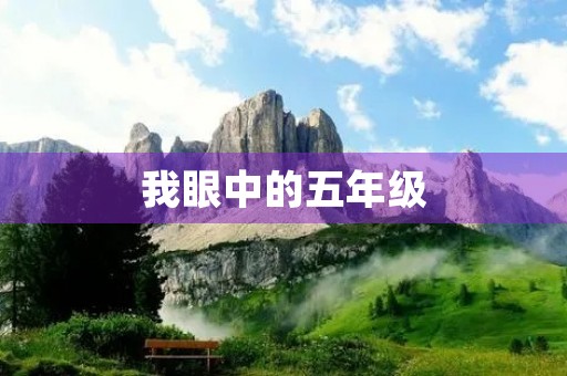 我眼中的五年级 我眼中的五年级