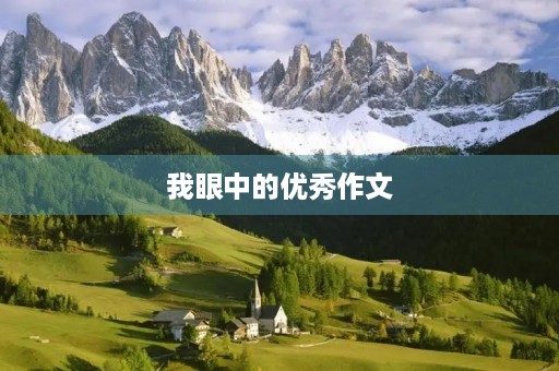 我眼中的优秀作文