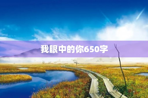 我眼中的你650字