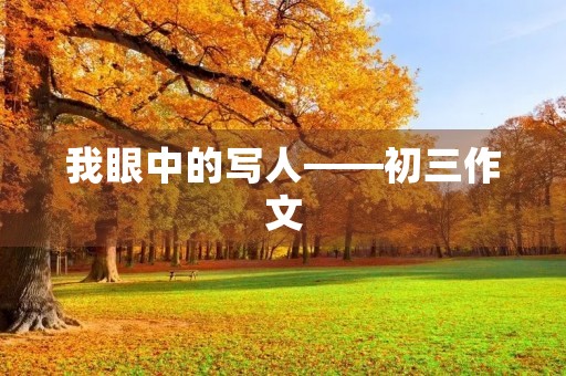 我眼中的写人——初三作文 我眼中的写人——初三作文
