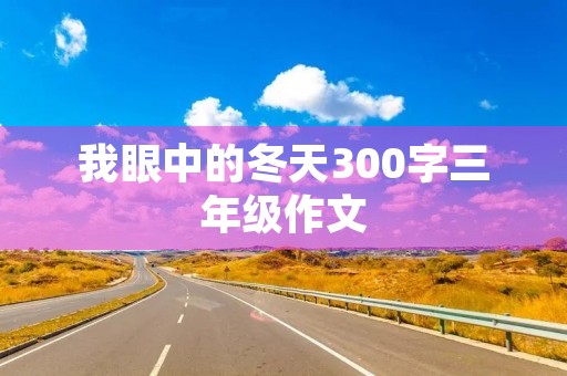 我眼中的冬天300字三年级作文 我眼中的冬天300字三年级作文