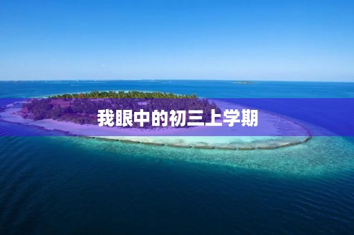 我眼中的初三上学期