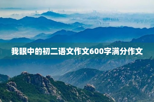 我眼中的初二语文作文600字满分作文