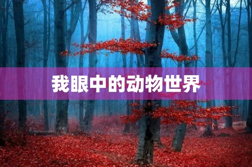 我眼中的动物世界 我眼中的动物世界