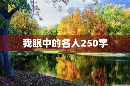 我眼中的名人250字
