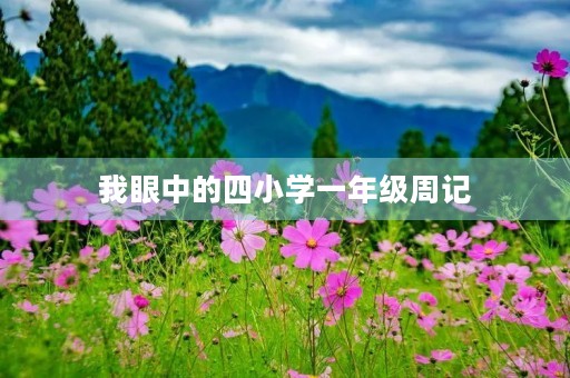 我眼中的四小学一年级周记