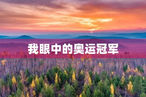 我眼中的奥运冠军