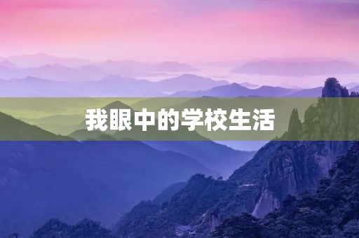 我眼中的学校生活