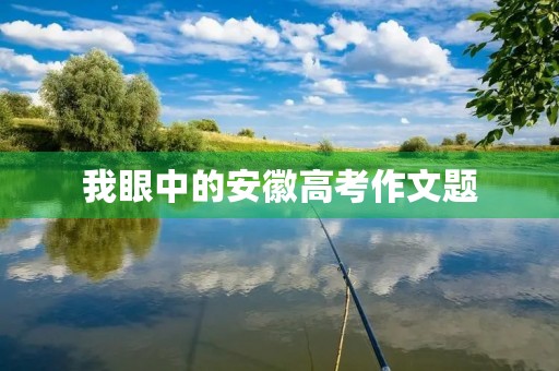 我眼中的安徽高考作文题