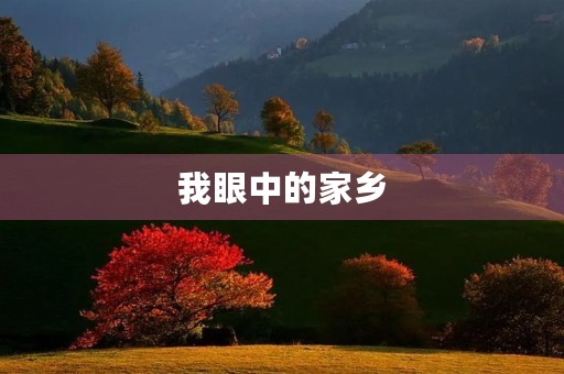 我眼中的家乡 我眼中的家乡