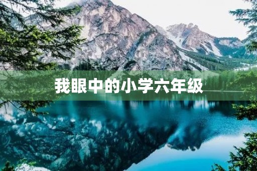 我眼中的小学六年级