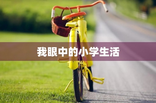 我眼中的小学生活
