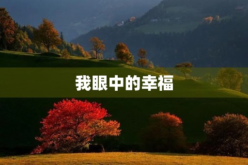 我眼中的幸福 我眼中的幸福