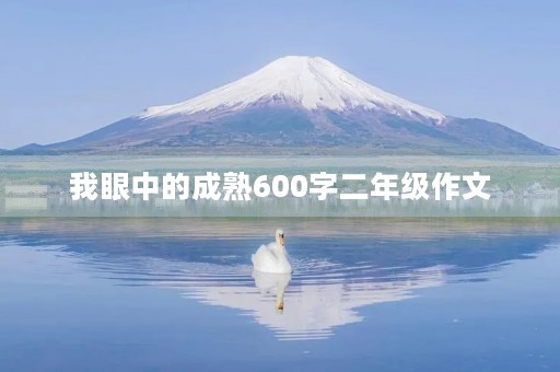 我眼中的成熟600字二年级作文
