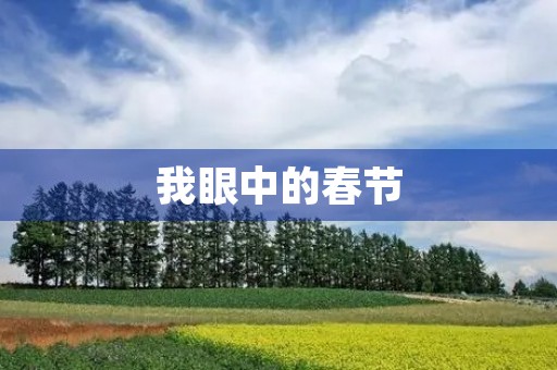 我眼中的春节 我眼中的春节
