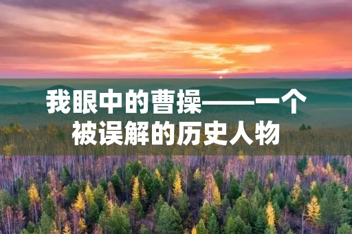 我眼中的曹操——一个被误解的历史人物