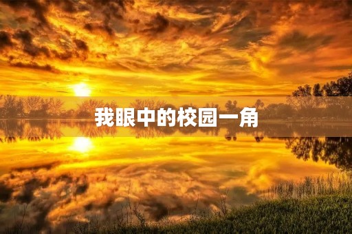 我眼中的校园一角