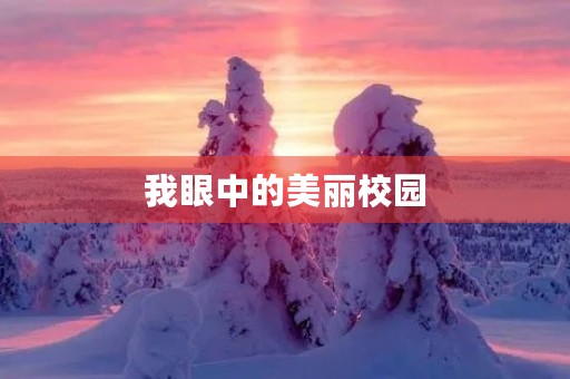 我眼中的美丽校园