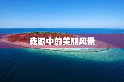 我眼中的美丽风景