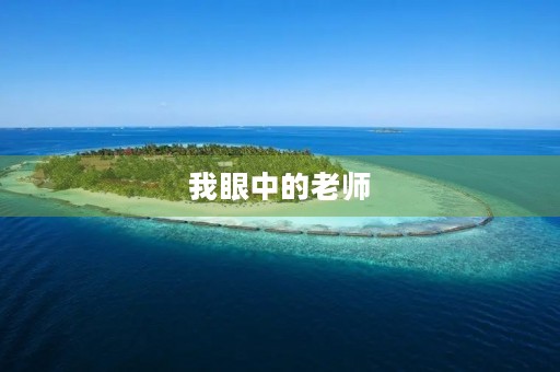 我眼中的老师 我眼中的老师