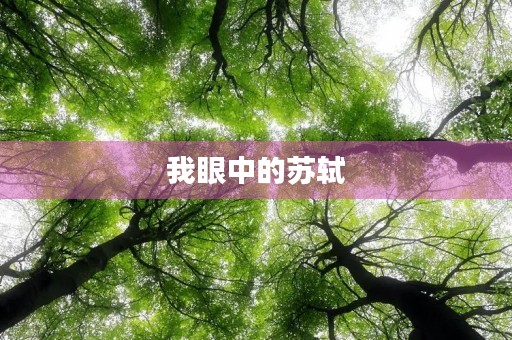 我眼中的苏轼 我眼中的苏轼