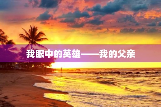 我眼中的英雄——我的父亲