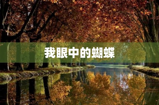 我眼中的蝴蝶 我眼中的蝴蝶