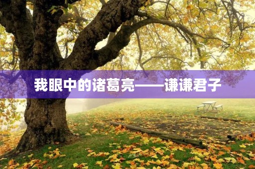 我眼中的诸葛亮——谦谦君子，智者无双