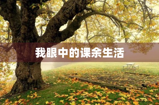 我眼中的课余生活