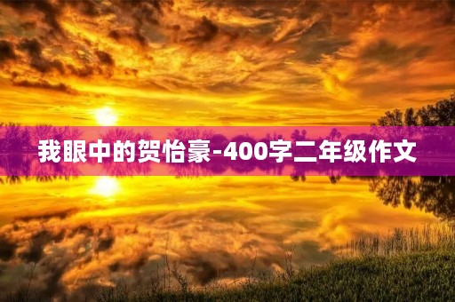 我眼中的贺怡豪-400字二年级作文