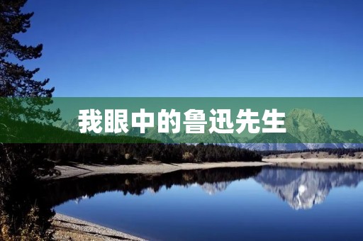 我眼中的鲁迅先生 我眼中的鲁迅先生