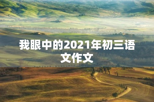 我眼中的2021年初三语文作文